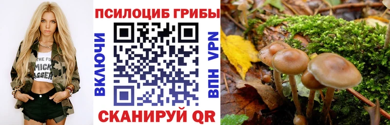 Галлюциногенные грибы GOLDEN TEACHER  Северо-Курильск 